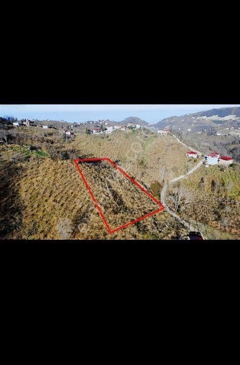 Trabzon Arsin'de Satılık Arazi - Görsel 14