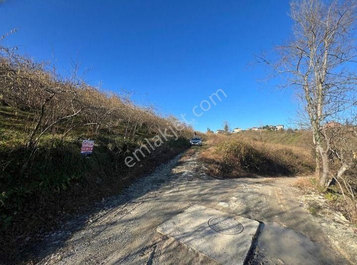 Trabzon Arsin'de Satılık Arazi - Görsel 24