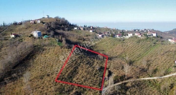 Trabzon Arsin'de Satılık Arazi - Görsel 3
