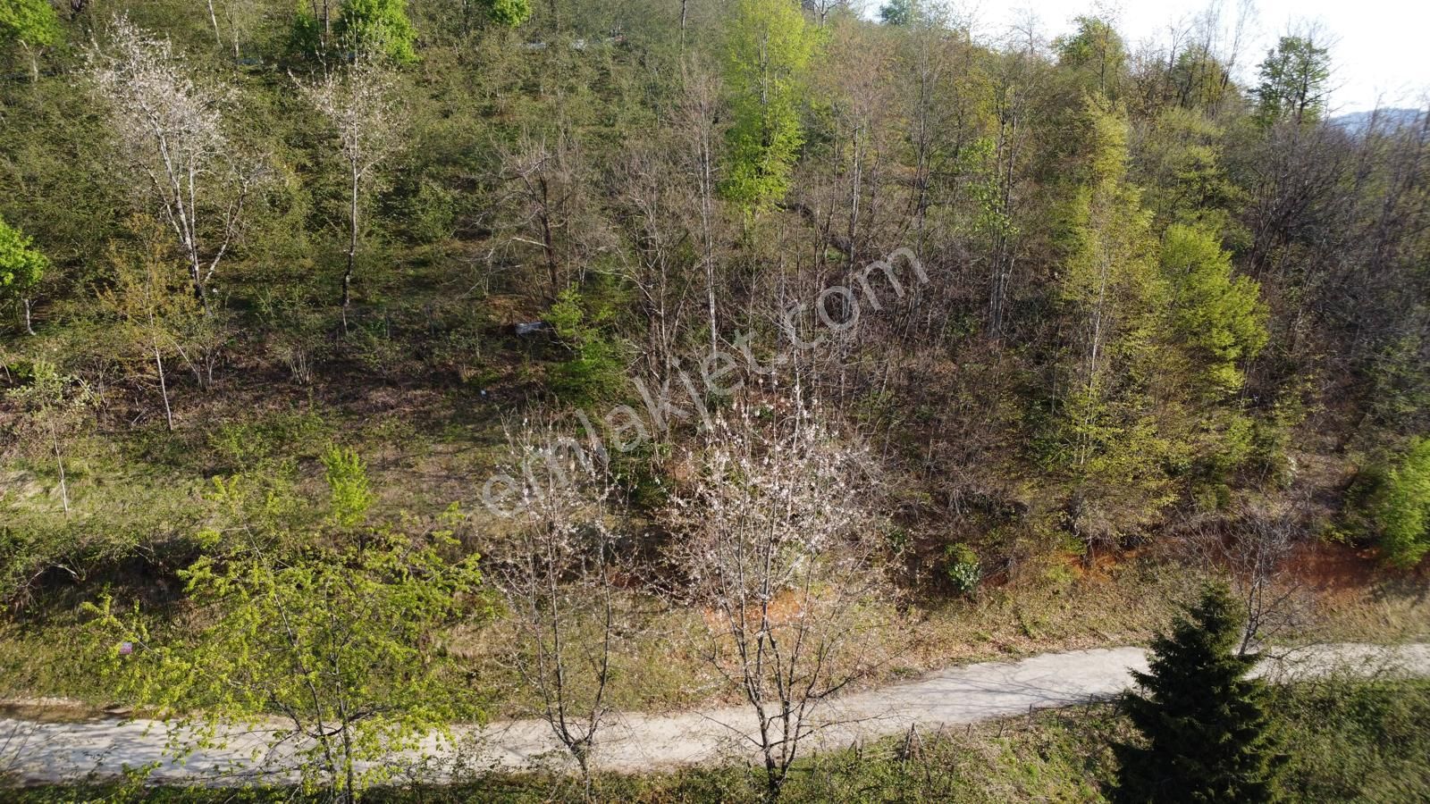 Giresun Merkez'de Satılık Arazi (müstakil Tapulu) - Görsel 32