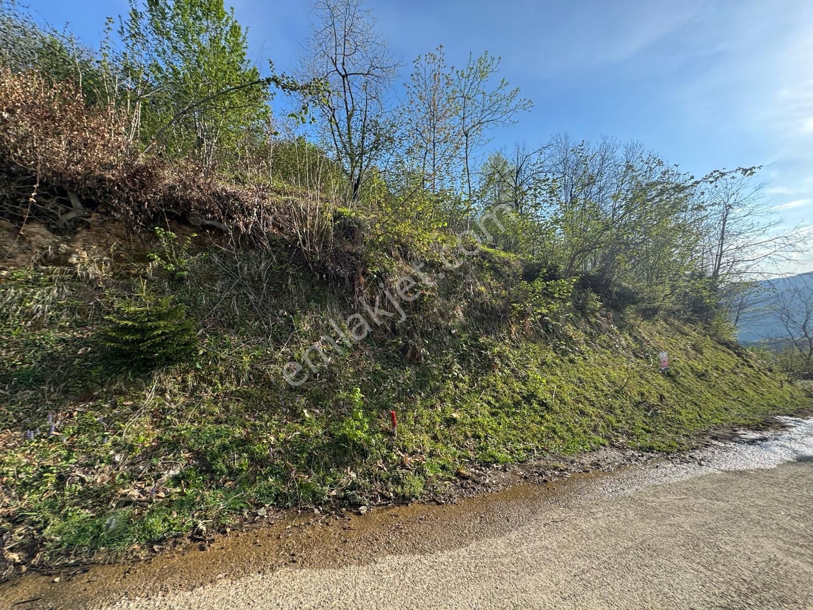 Giresun Merkez'de Satılık Arazi (müstakil Tapulu) - Görsel 8