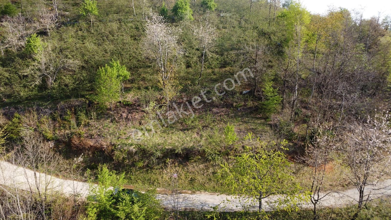 Giresun Merkez'de Satılık Arazi (müstakil Tapulu) - Görsel 31