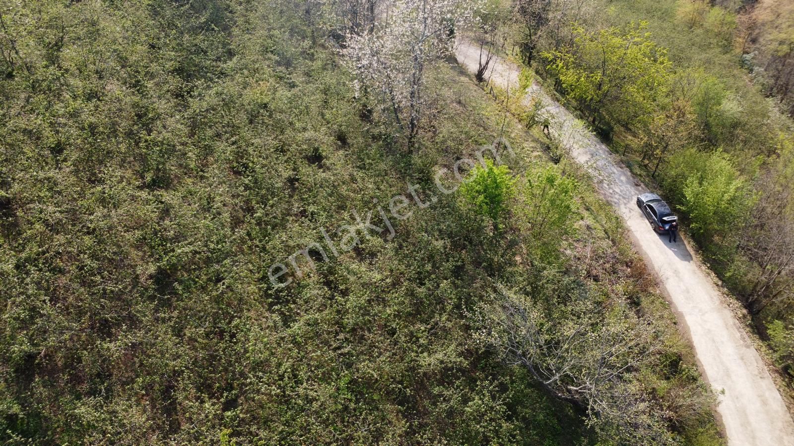 Giresun Merkez'de Satılık Arazi (müstakil Tapulu) - Görsel 28