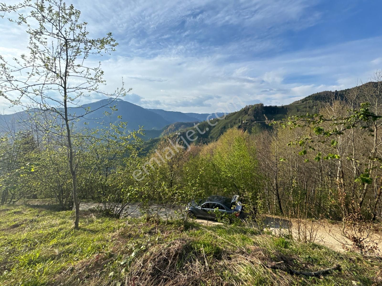 Giresun Merkez'de Satılık Arazi (müstakil Tapulu) - Görsel 12