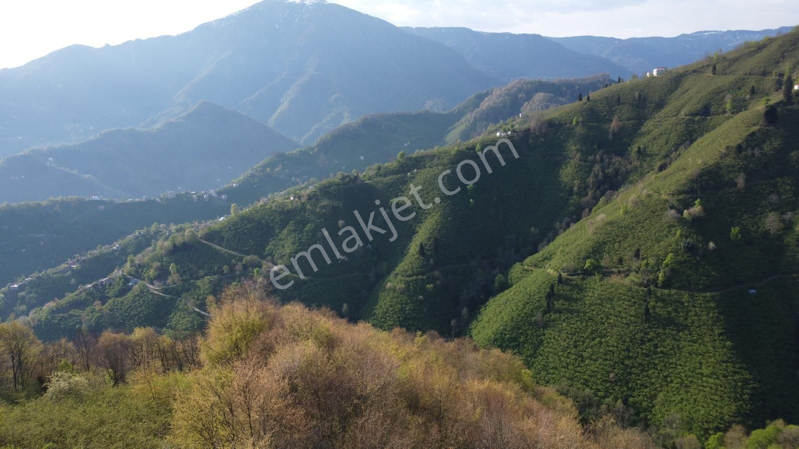 Giresun Merkez'de Satılık Arazi (müstakil Tapulu) - Görsel 17