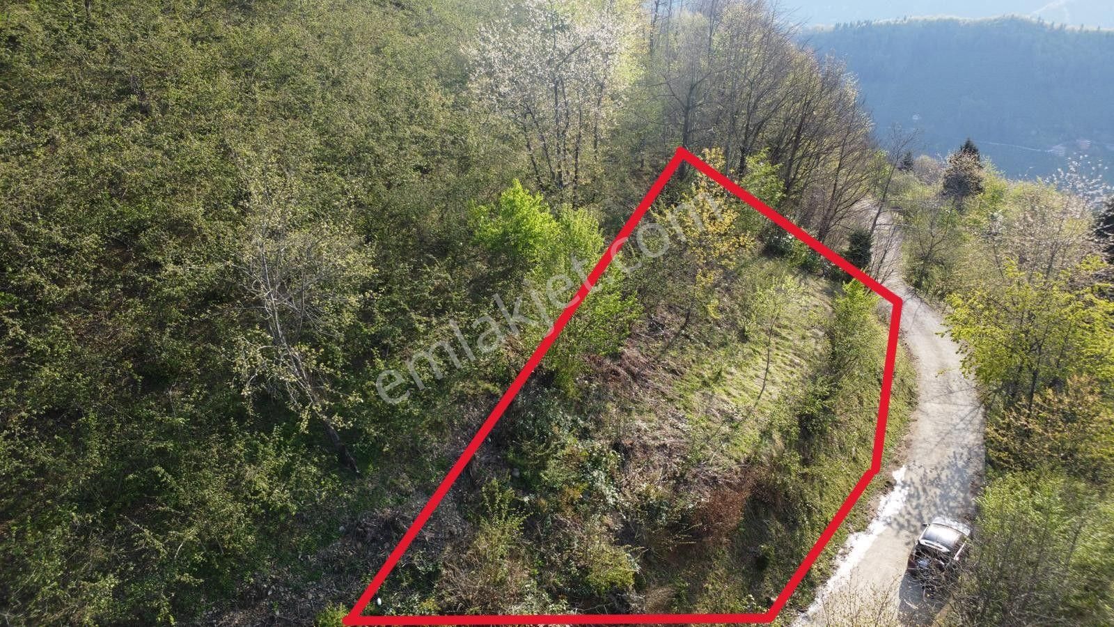 Giresun Merkez'de Satılık Arazi (müstakil Tapulu) - Görsel 5