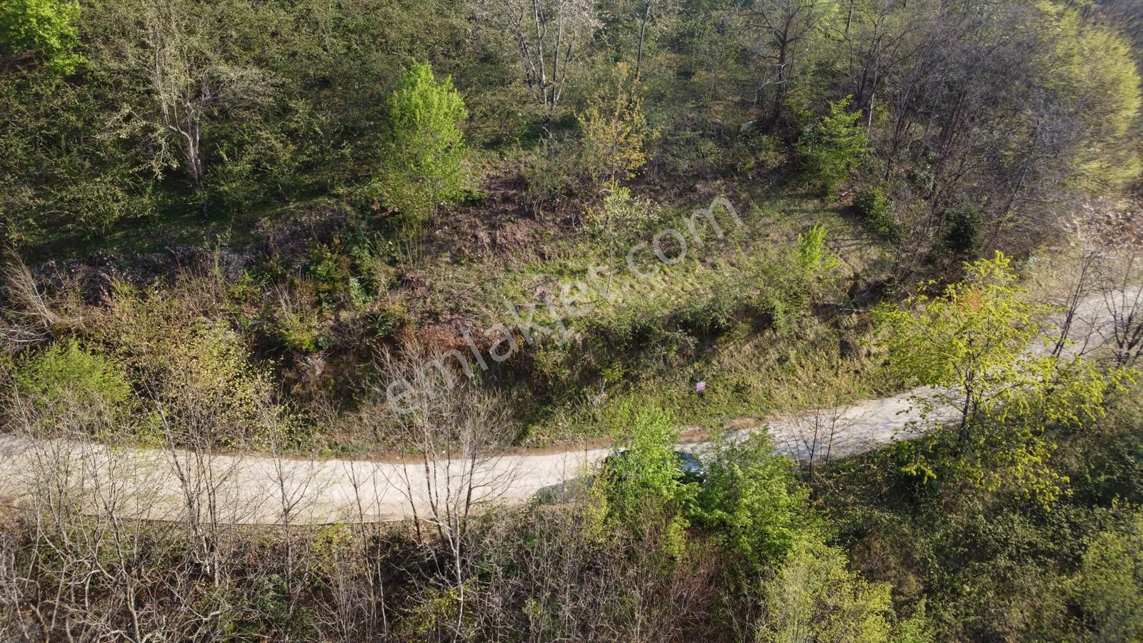 Giresun Merkez'de Satılık Arazi (müstakil Tapulu) - Görsel 20