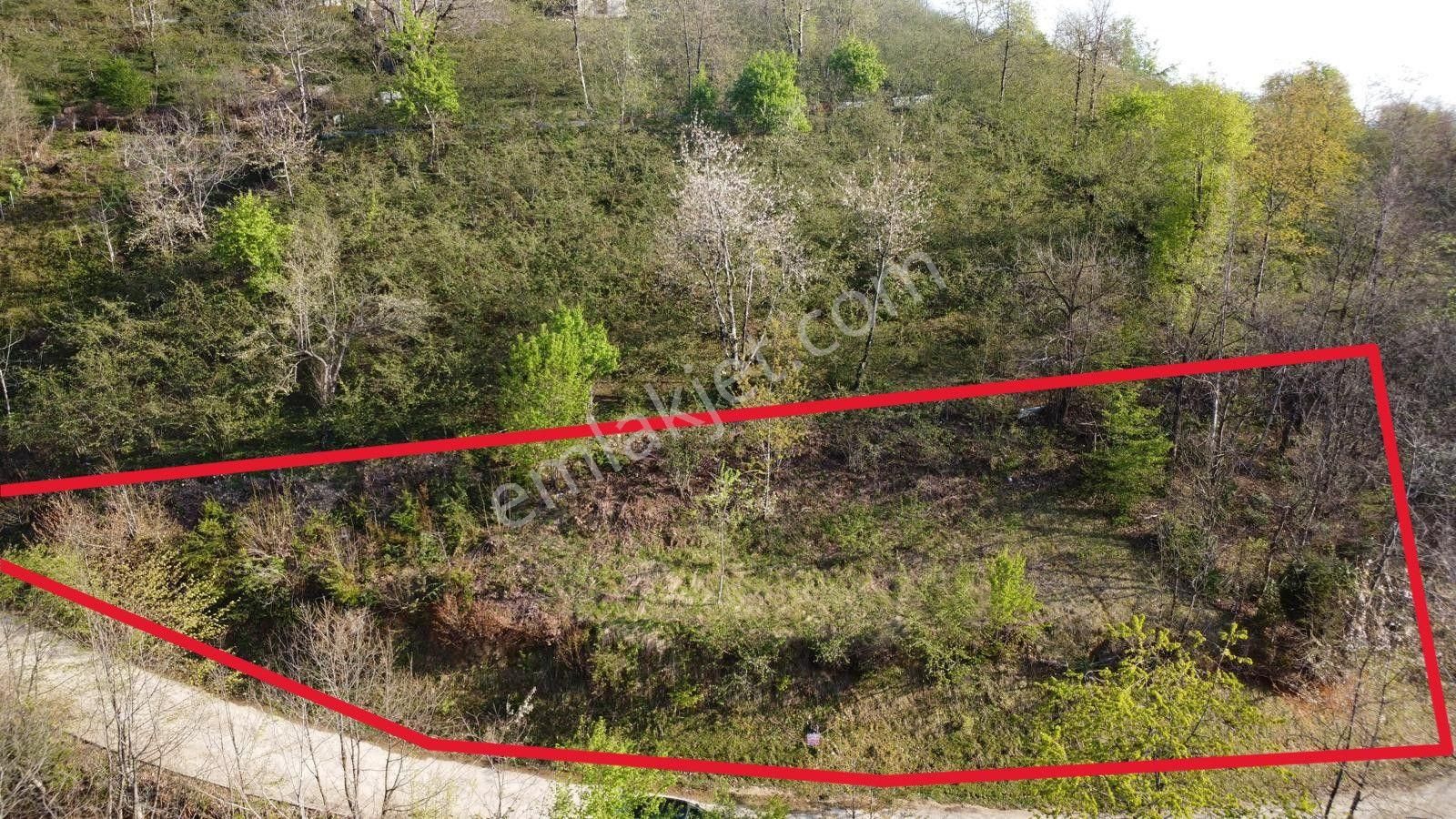 Giresun Merkez'de Satılık Arazi (müstakil Tapulu) - Görsel 4