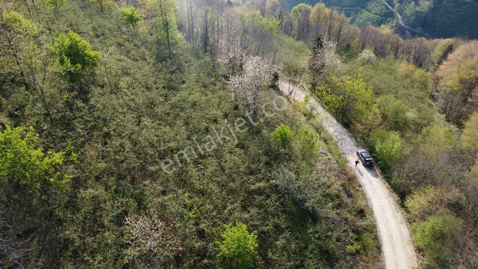 Giresun Merkez'de Satılık Arazi (müstakil Tapulu) - Görsel 26
