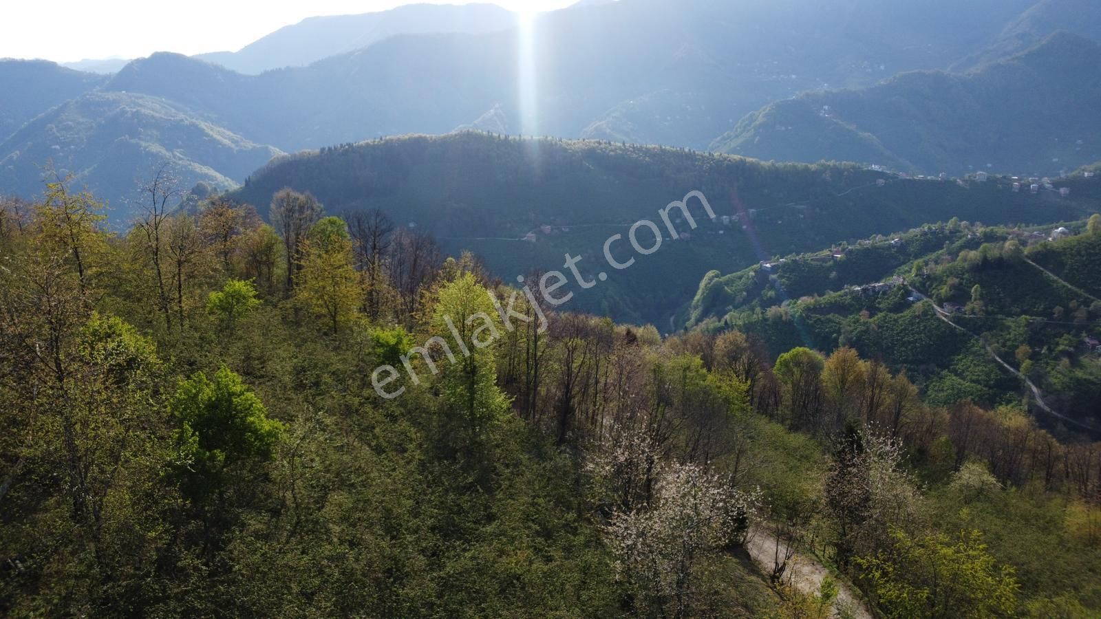Giresun Merkez'de Satılık Arazi (müstakil Tapulu) - Görsel 25