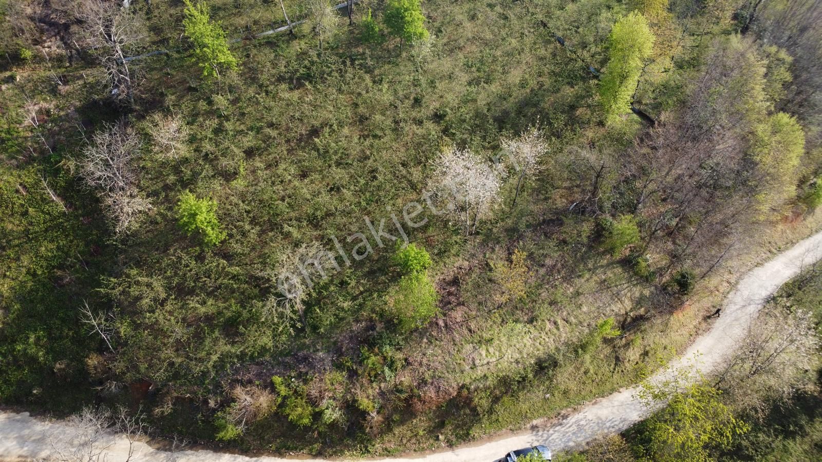 Giresun Merkez'de Satılık Arazi (müstakil Tapulu) - Görsel 24