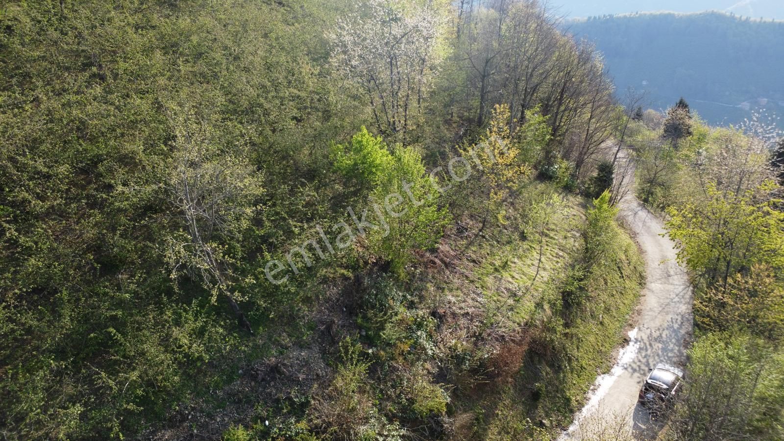 Giresun Merkez'de Satılık Arazi (müstakil Tapulu) - Görsel 27