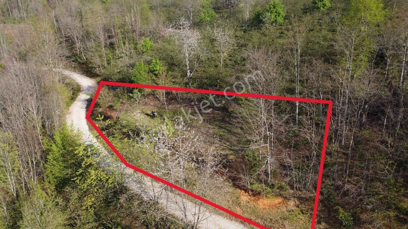 Giresun Merkez'de Satılık Arazi (müstakil Tapulu) - Görsel 30
