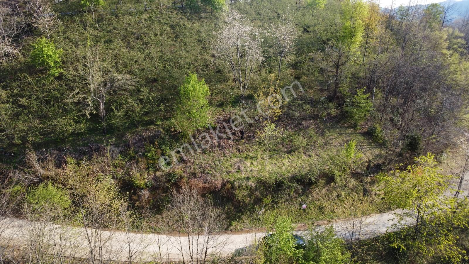 Giresun Merkez'de Satılık Arazi (müstakil Tapulu) - Görsel 18