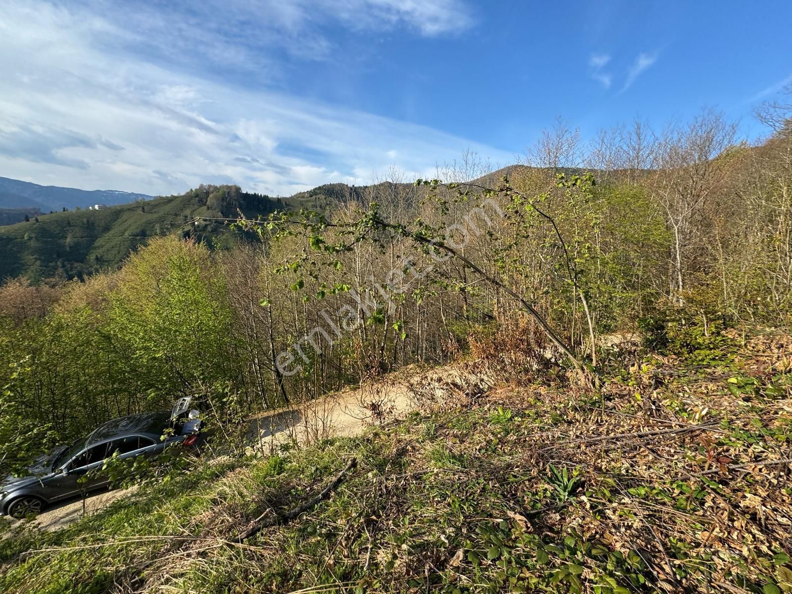 Giresun Merkez'de Satılık Arazi (müstakil Tapulu) - Görsel 15