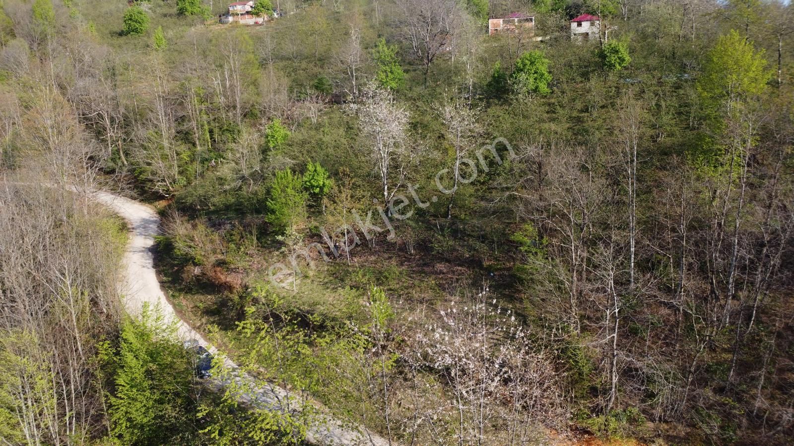 Giresun Merkez'de Satılık Arazi (müstakil Tapulu) - Görsel 6