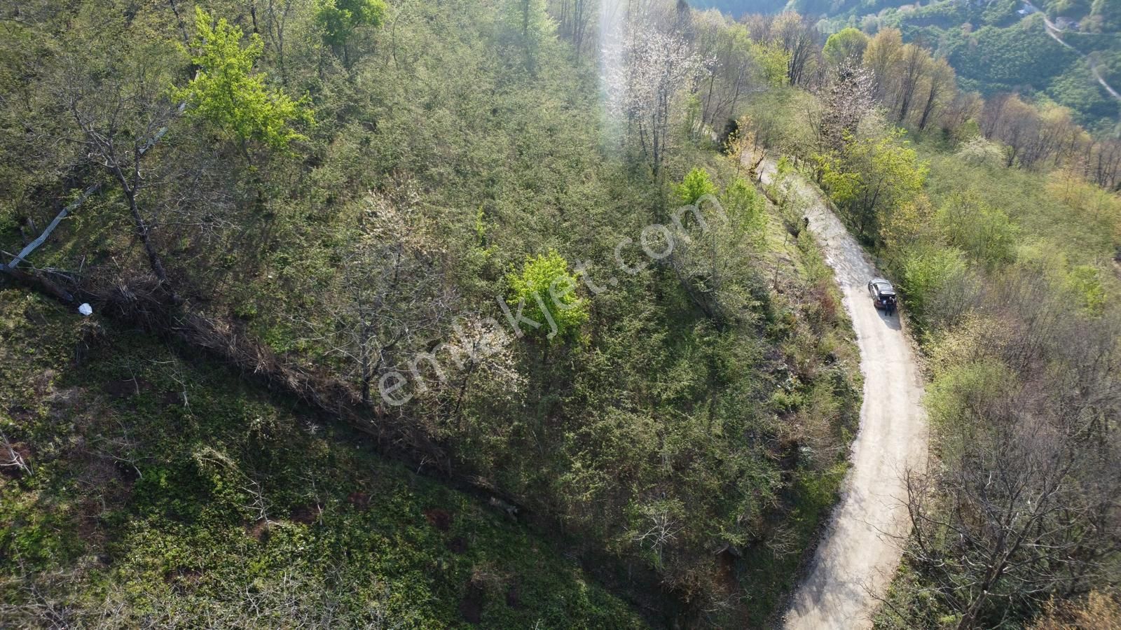 Giresun Merkez'de Satılık Arazi (müstakil Tapulu) - Görsel 29