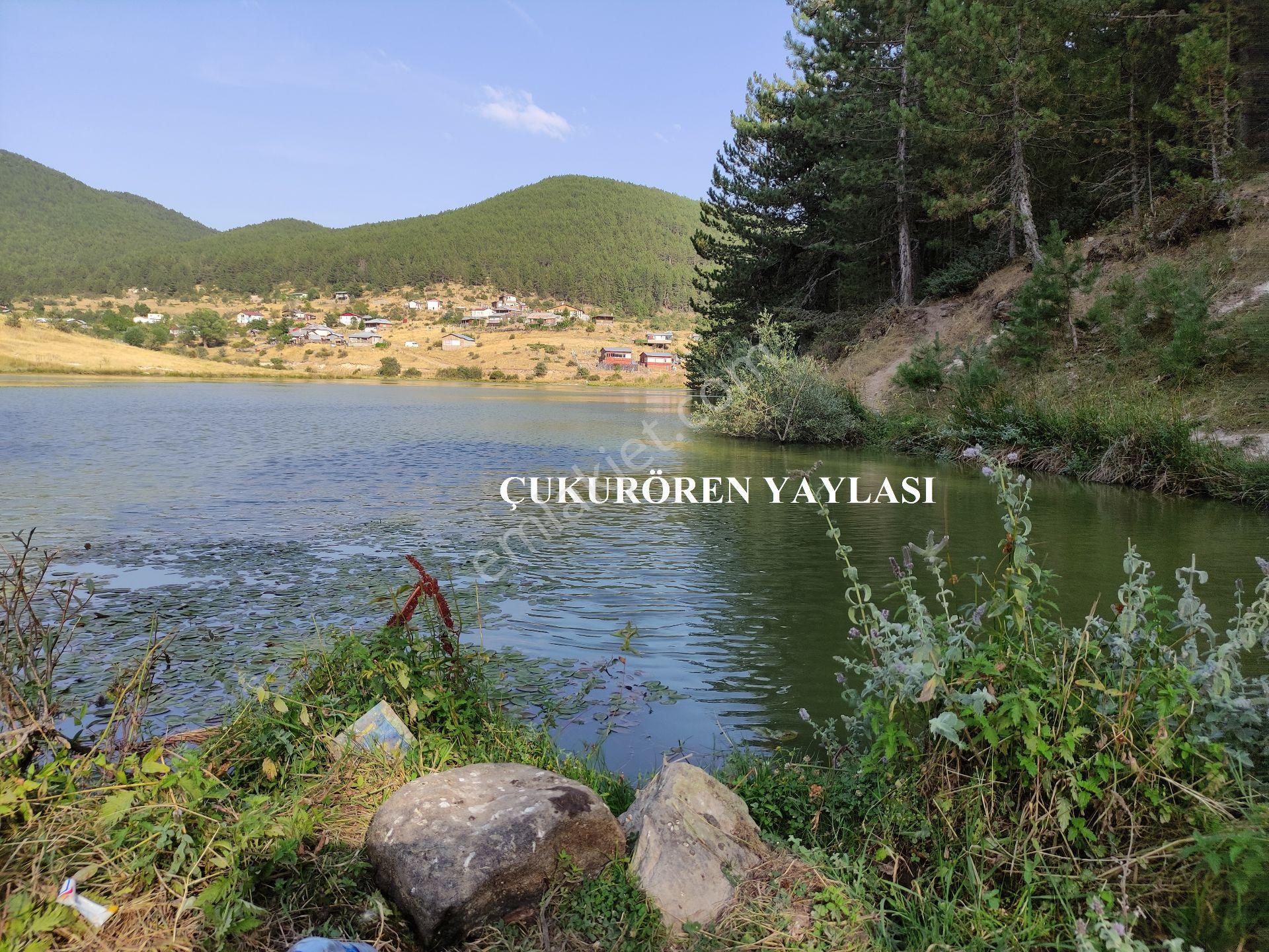 Ankara Beypazarı Karaşar Yaylasında İmarlı Villa Parseli - Görsel 5