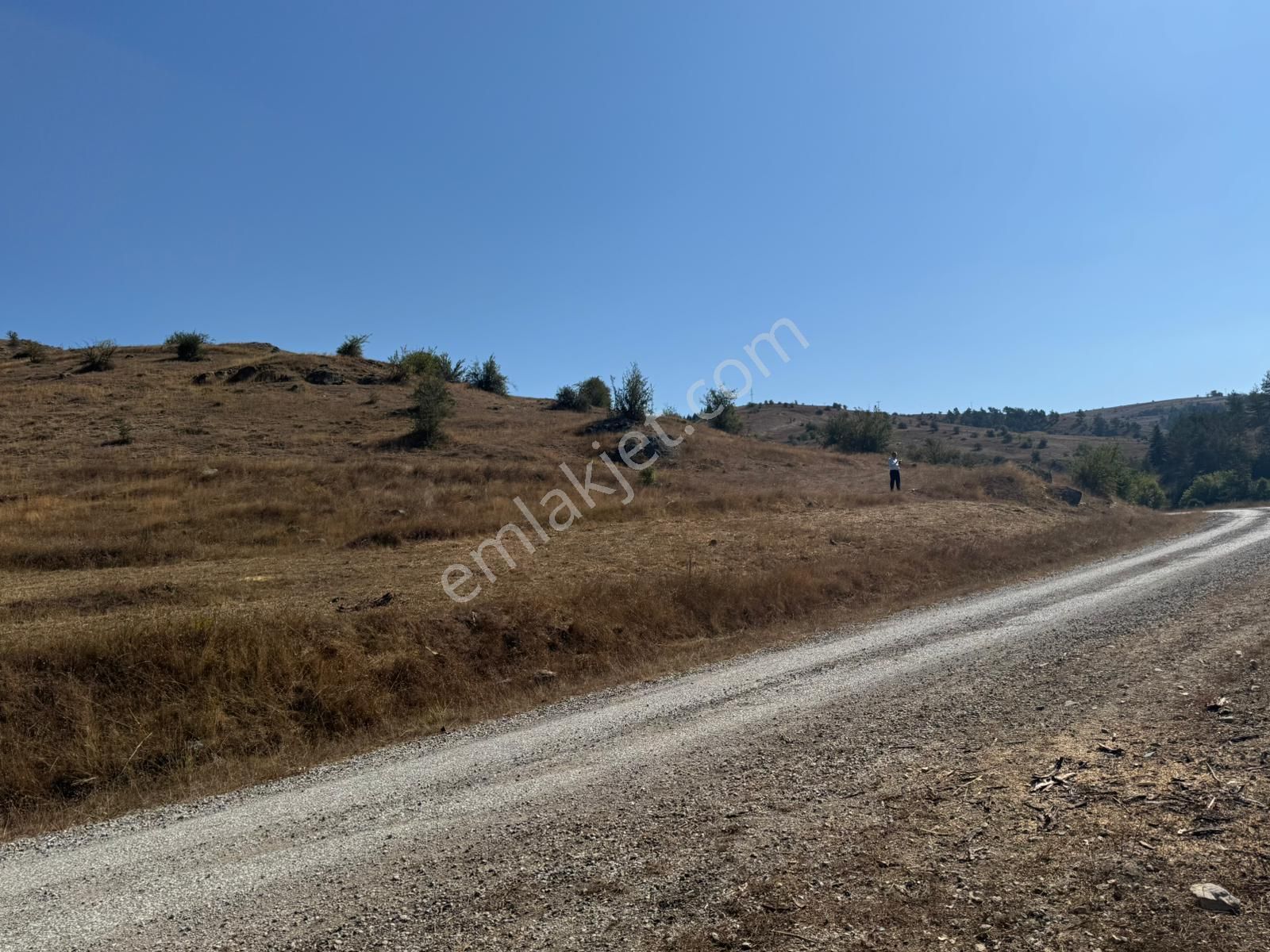 Sinop Durağan'da Satılık Arazi - Görsel 30