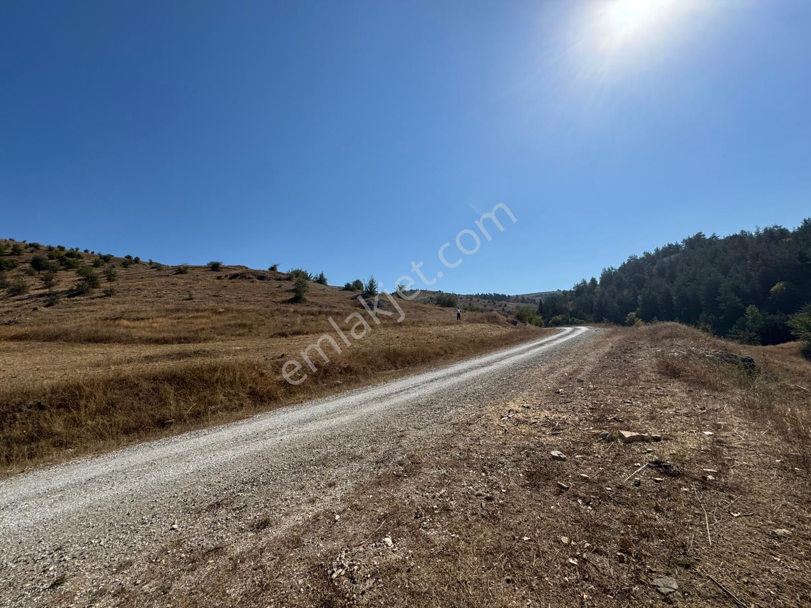 Sinop Durağan'da Satılık Arazi - Görsel 28