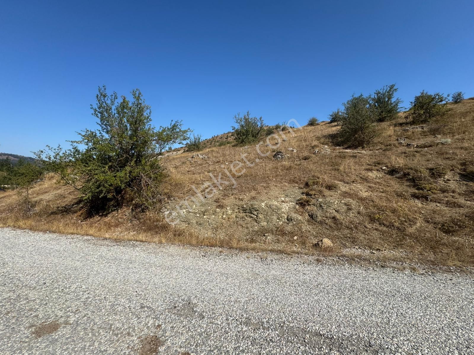Sinop Durağan'da Satılık Arazi - Görsel 29