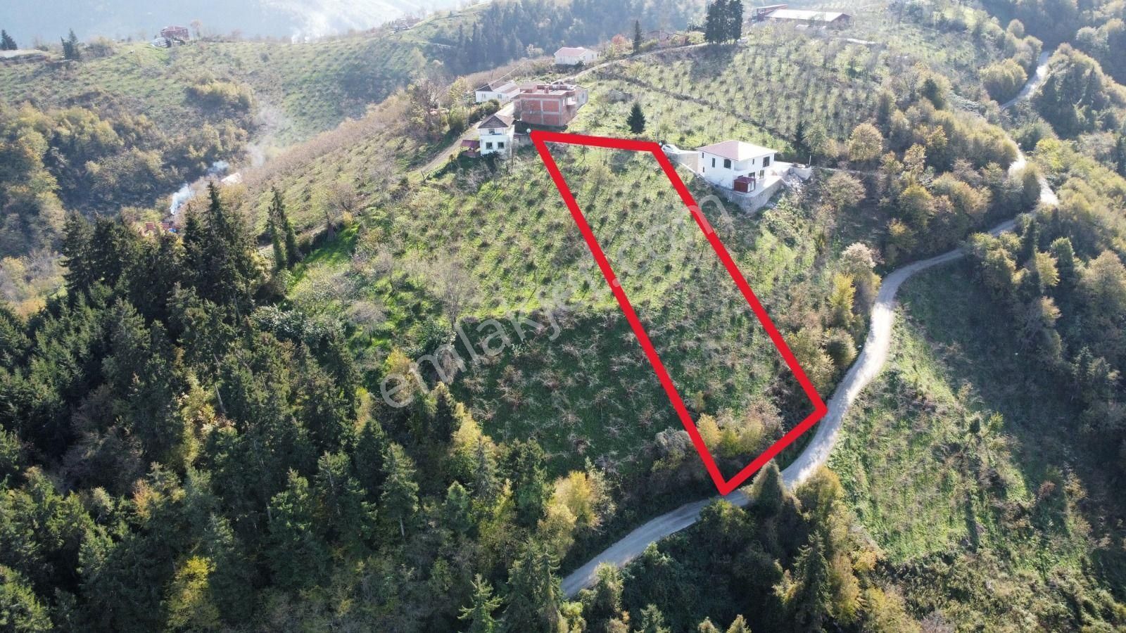 Trabzon'da Satılık Arazi - Görsel 3