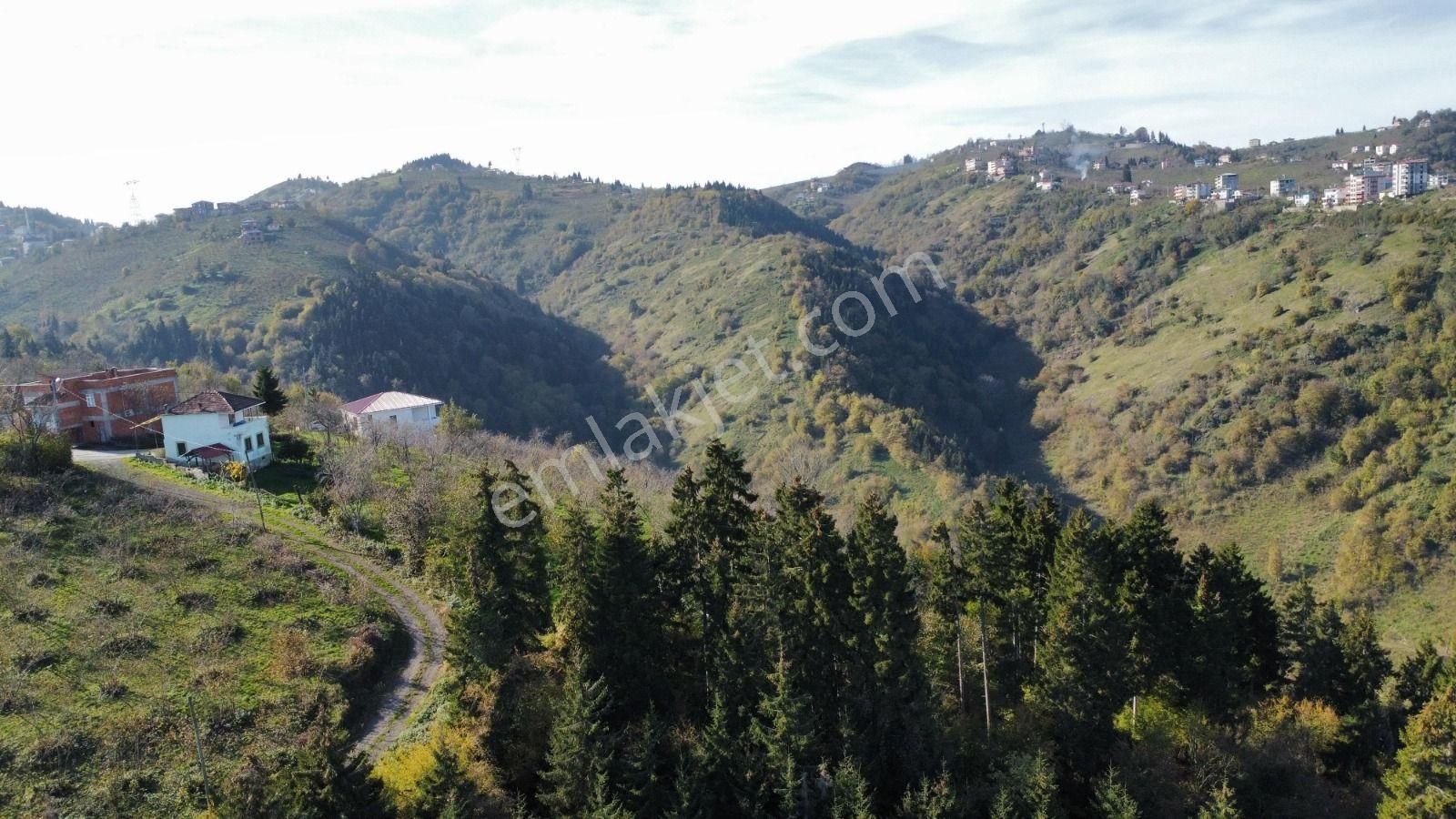 Trabzon'da Satılık Arazi - Görsel 14