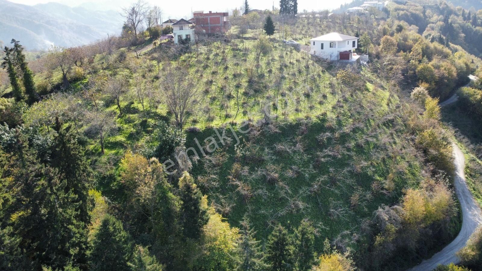 Trabzon'da Satılık Arazi - Görsel 18