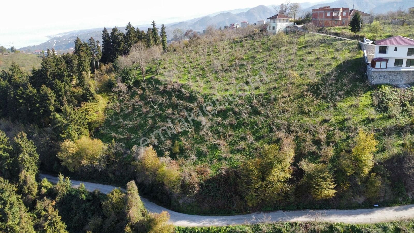 Trabzon'da Satılık Arazi - Görsel 22