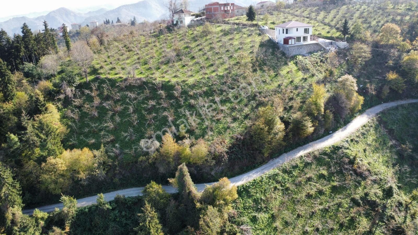 Trabzon'da Satılık Arazi - Görsel 17
