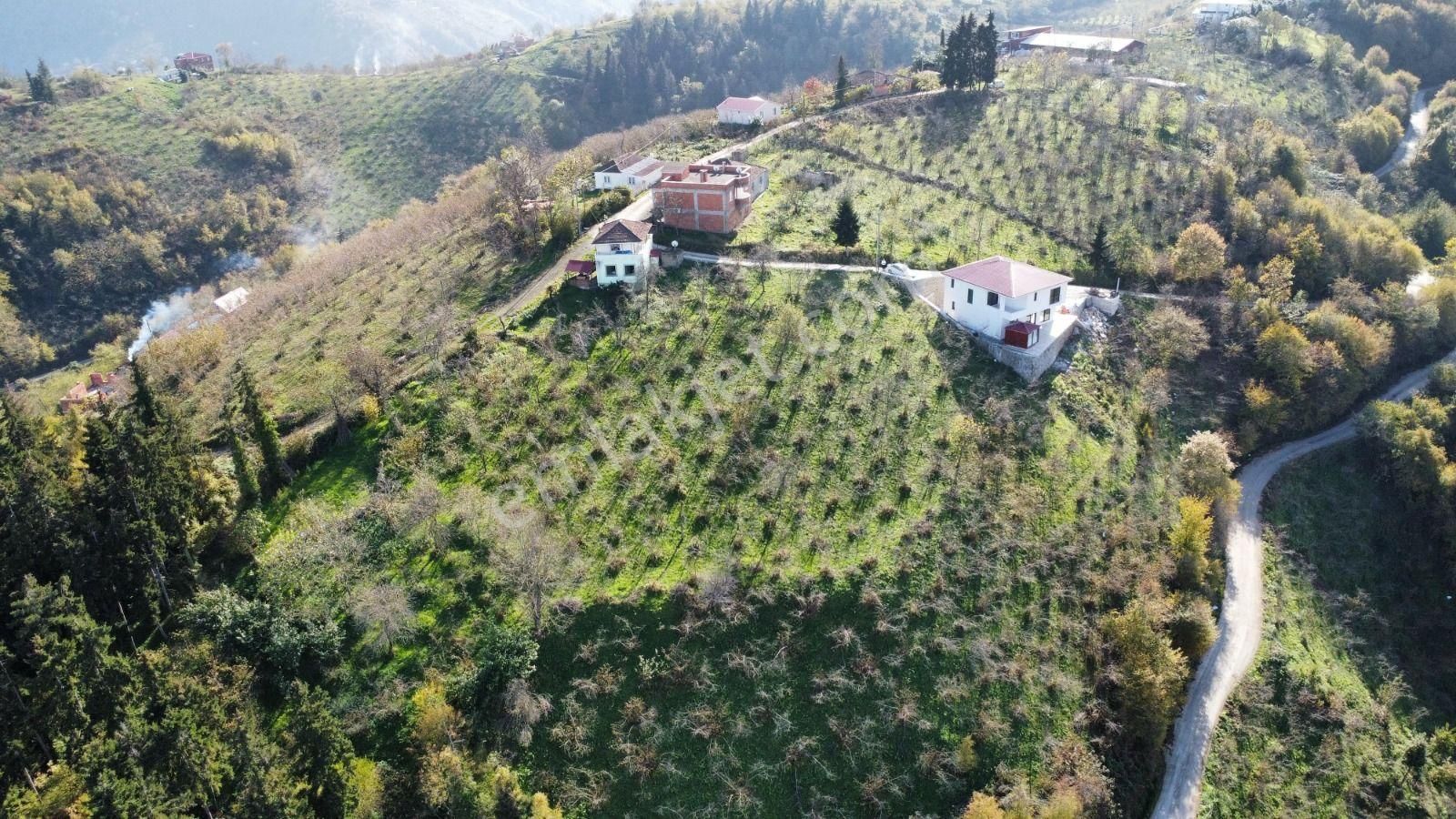 Trabzon'da Satılık Arazi - Görsel 24