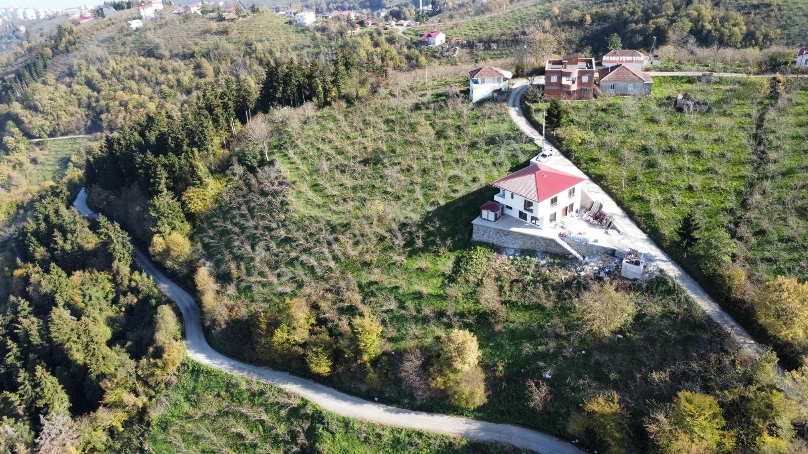 Trabzon'da Satılık Arazi