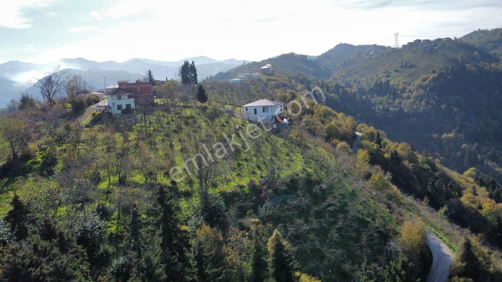 Trabzon'da Satılık Arazi - Görsel 9