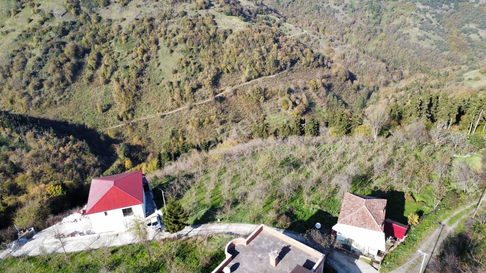 Trabzon'da Satılık Arazi - Görsel 20