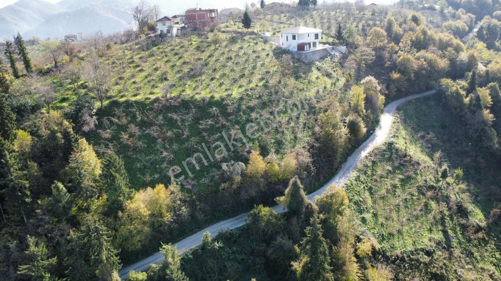 Trabzon'da Satılık Arazi - Görsel 7