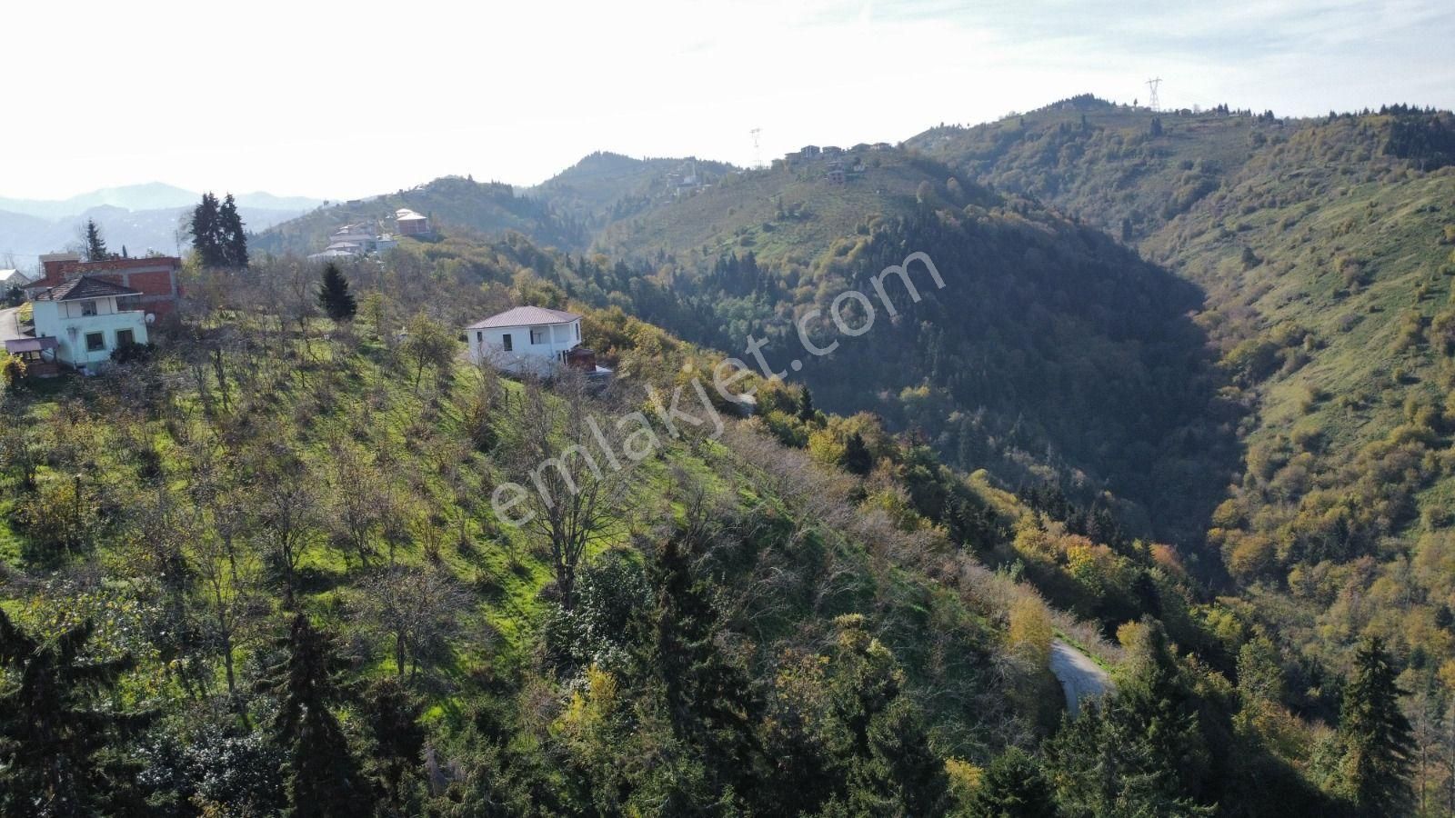 Trabzon'da Satılık Arazi - Görsel 13