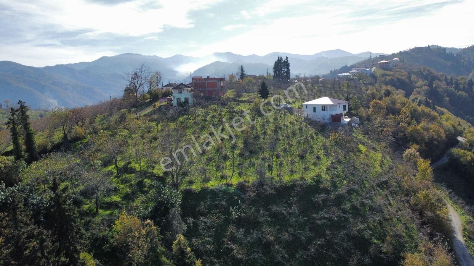 Trabzon'da Satılık Arazi - Görsel 23
