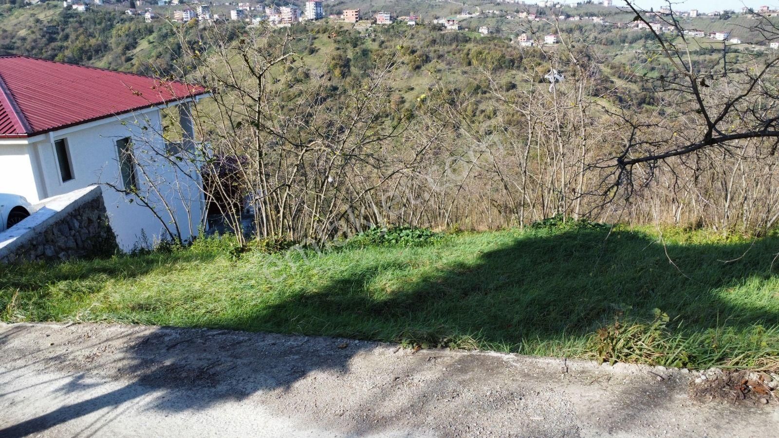Trabzon'da Satılık Arazi - Görsel 4