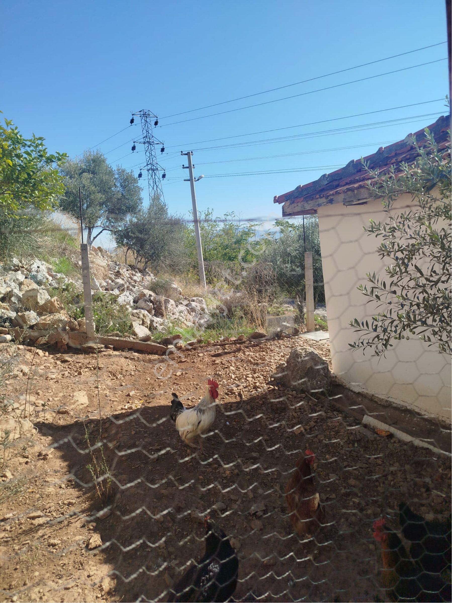 İlay Groupdan Torbalı Da Satılık Mustakil Ev - Görsel 22