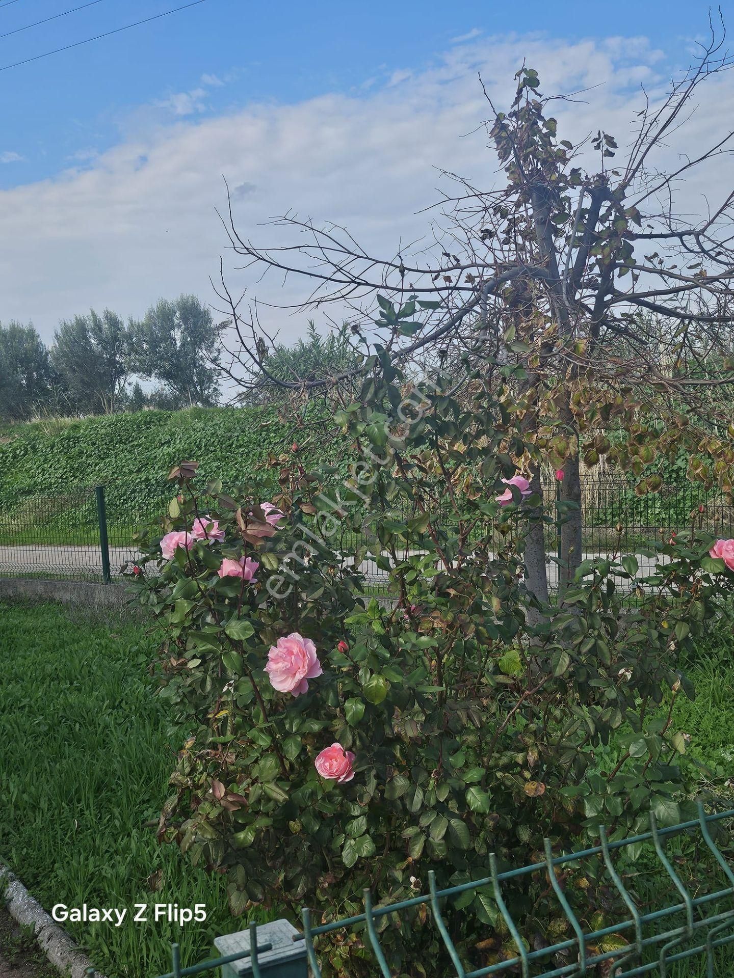 Uğur Mumcu Caddesi Denize 250 Mt Fırsat Villamız - Görsel 19