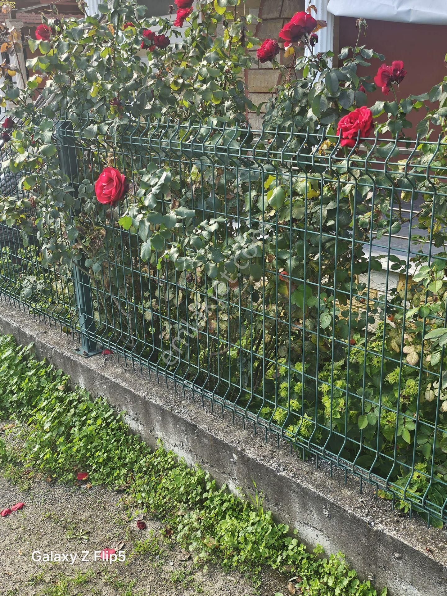 Uğur Mumcu Caddesi Denize 250 Mt Fırsat Villamız - Görsel 4