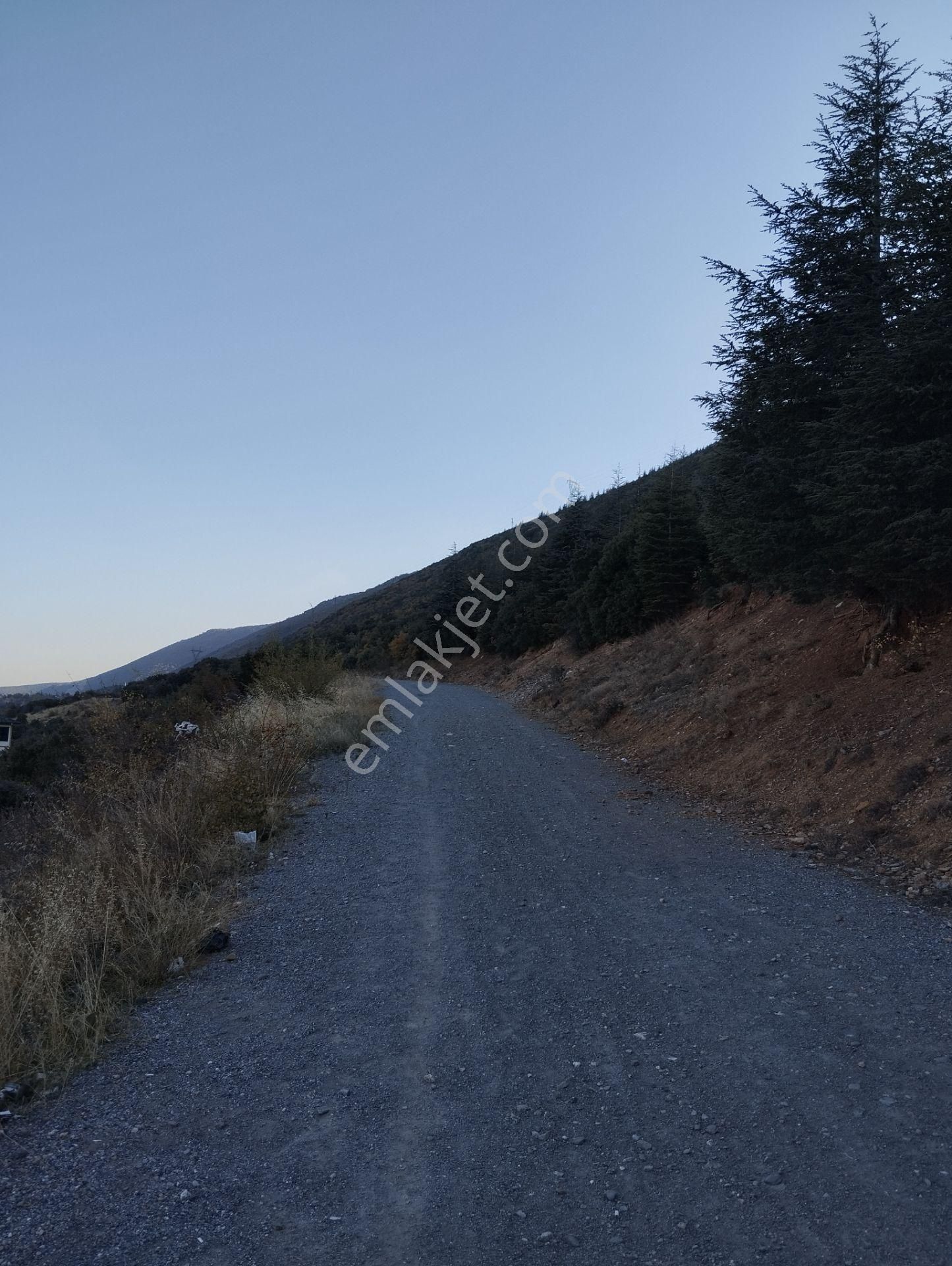 Akşehir Demirhan Emlaktan Satılık Bahçe - Görsel 2