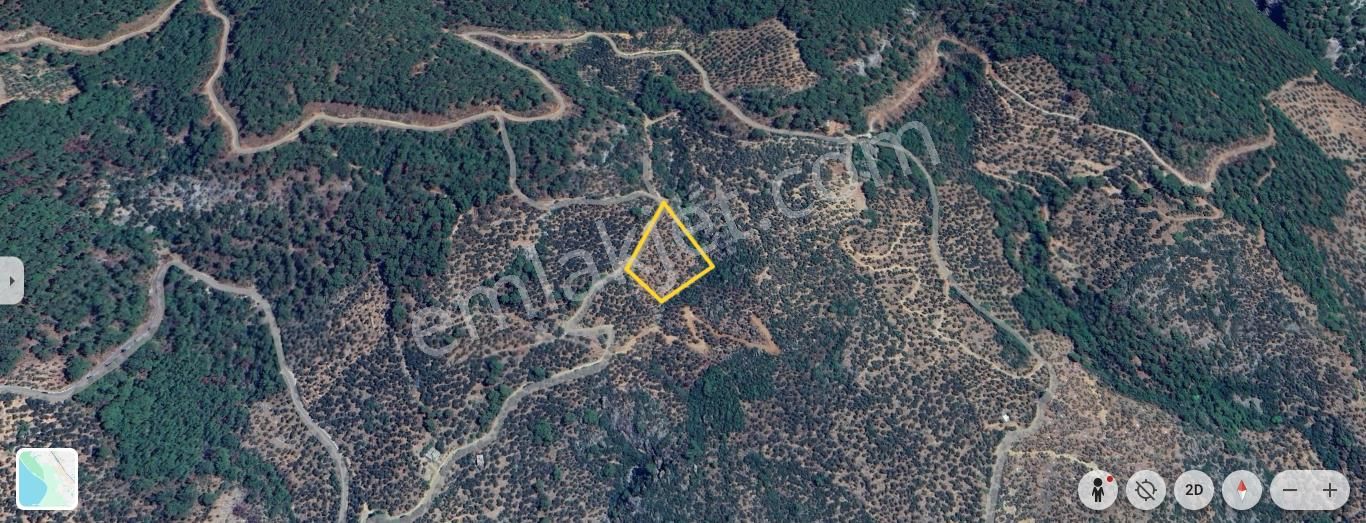Altınoluk'ta Deniz Manzaralı 6750m2 Zeytinlik - Görsel 14