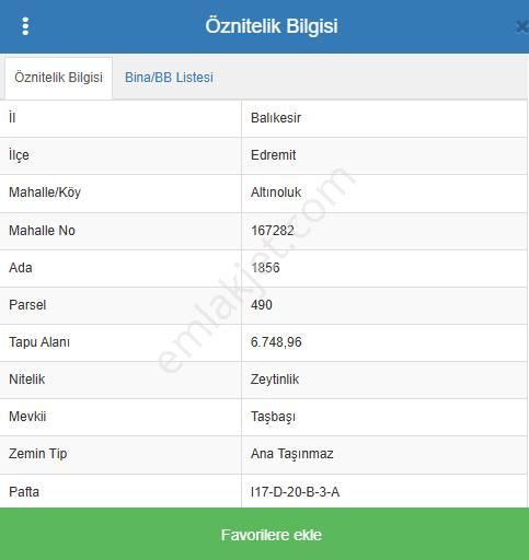 Altınoluk'ta Deniz Manzaralı 6750m2 Zeytinlik - Görsel 19