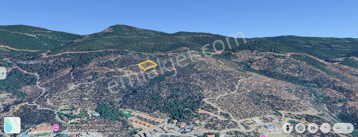 Altınoluk'ta Deniz Manzaralı 6750m2 Zeytinlik - Görsel 17