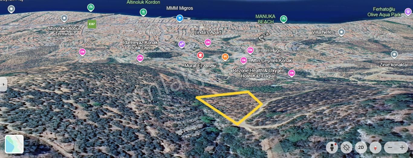 Altınoluk'ta Deniz Manzaralı 6750m2 Zeytinlik - Görsel 15