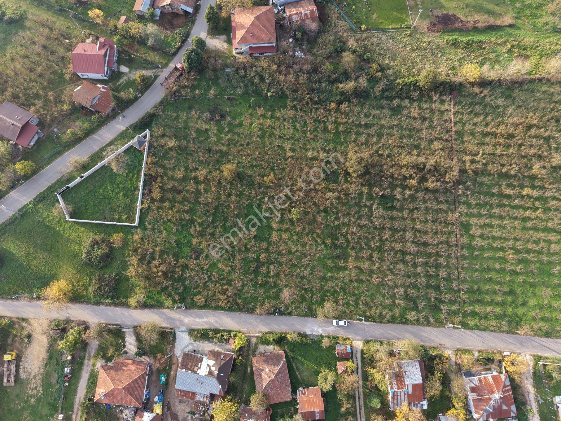 Emlakevim - Küçücek Cumhuriyet Mah.de Satılık 480 M2 İmarlı Arsa - Görsel 24
