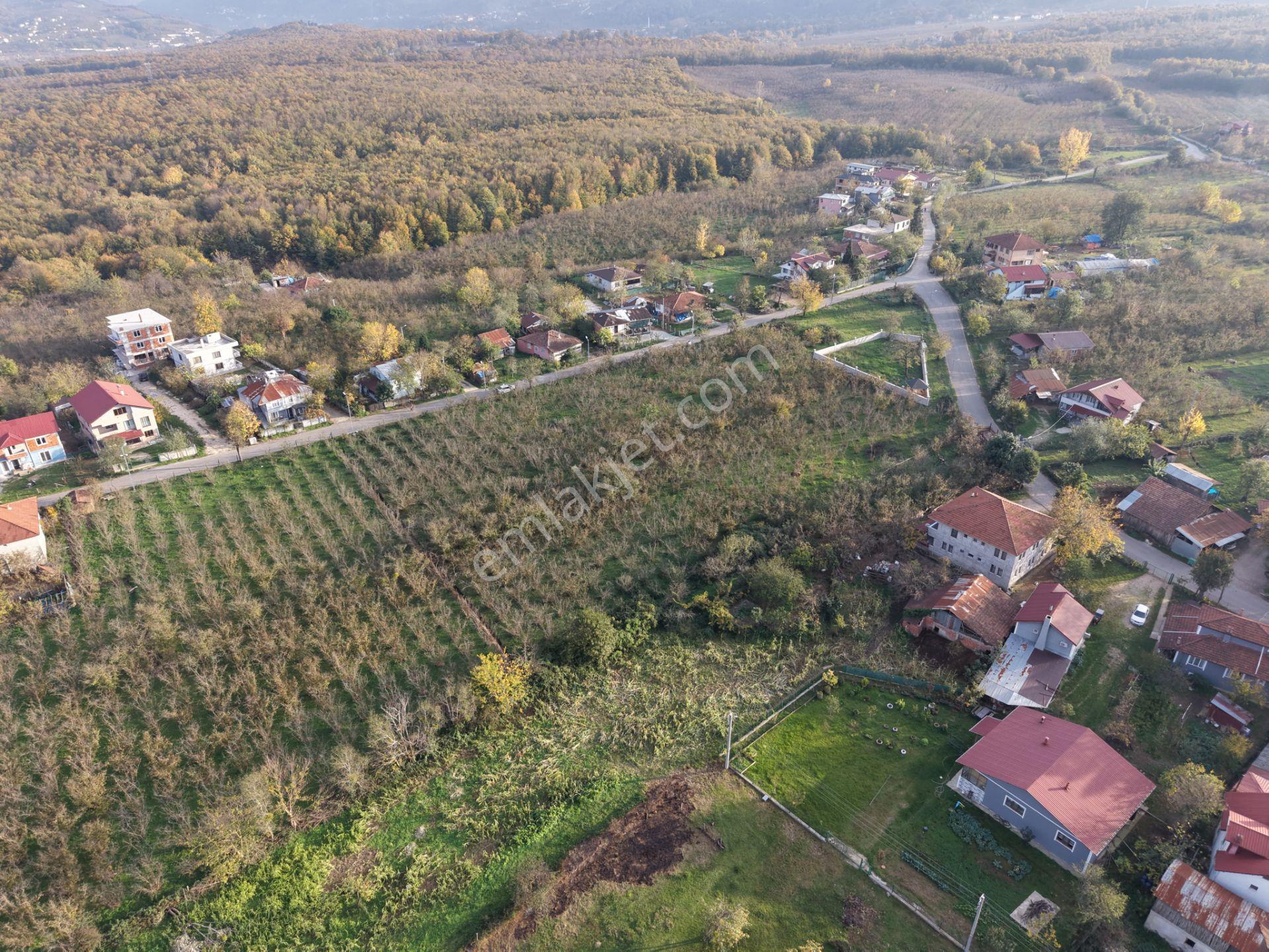 Emlakevim - Küçücek Cumhuriyet Mah.de Satılık 480 M2 İmarlı Arsa - Görsel 7