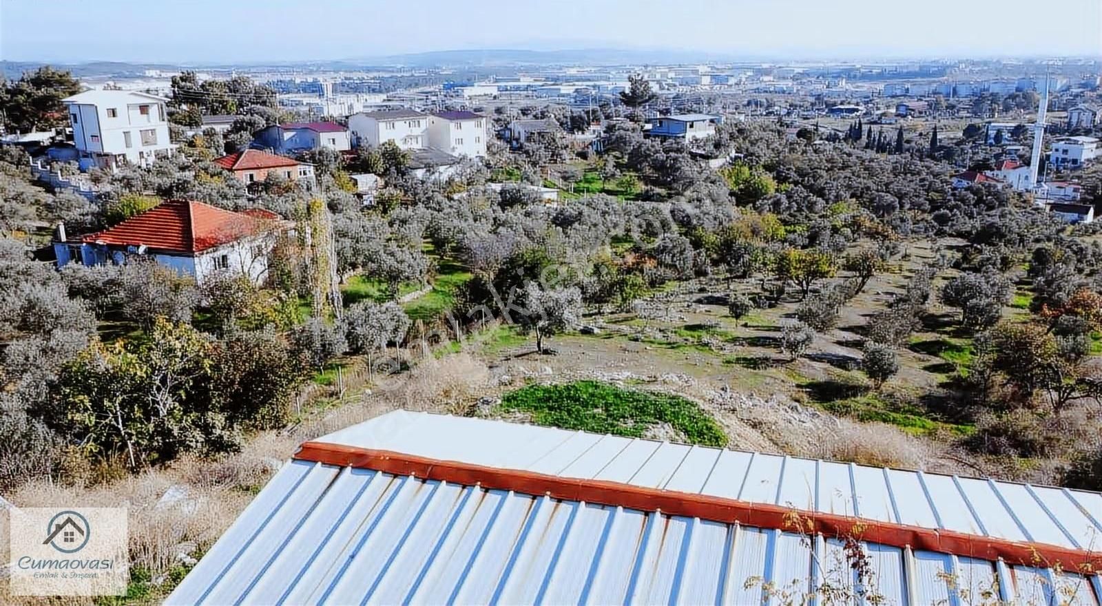 Cumaovası Emlk.satılık Gaziemir Sevgi Mah.11 Dönüm Tek Tapu - Görsel 21