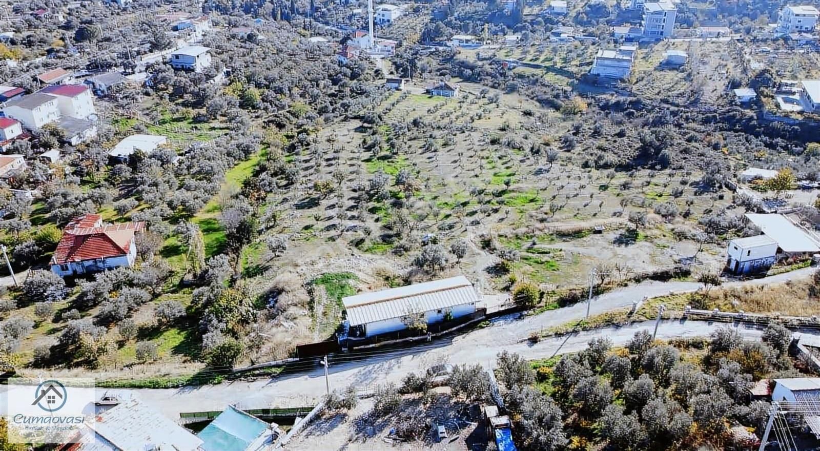 Cumaovası Emlk.satılık Gaziemir Sevgi Mah.11 Dönüm Tek Tapu - Görsel 3